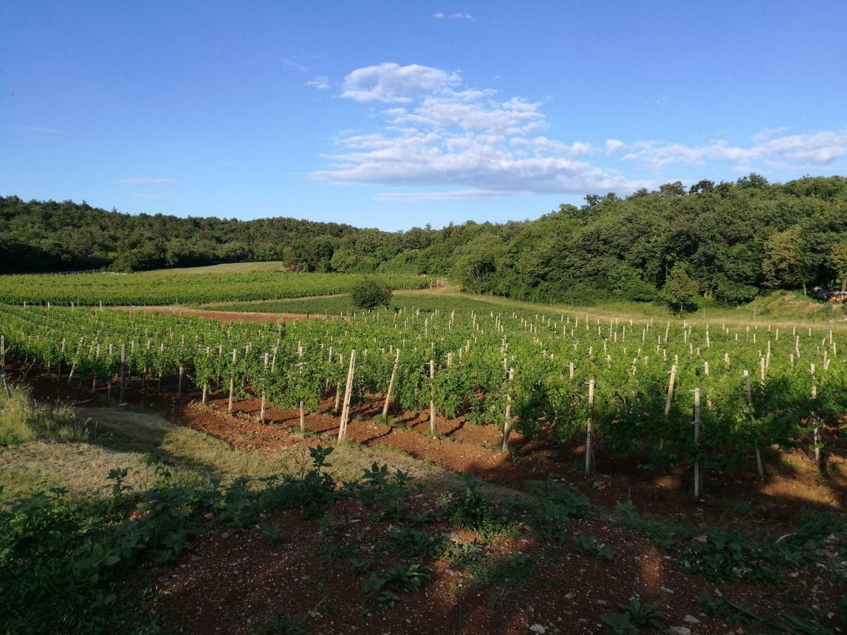 Agriturismo Ostrouska Sgonico 外观 照片